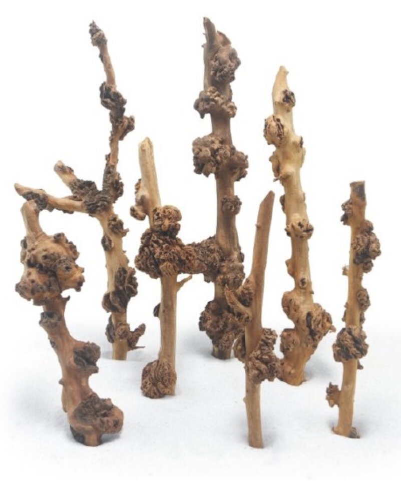 HAQUOSS SAVANA WOOD LARGE 40/50cm