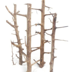 HAQUOSS LONG HANDS WOOD SMALL 20/30cm