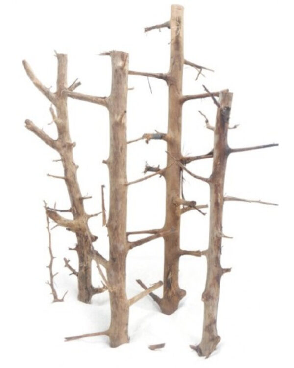 HAQUOSS LONG HANDS WOOD MEDIUM 30/40cm