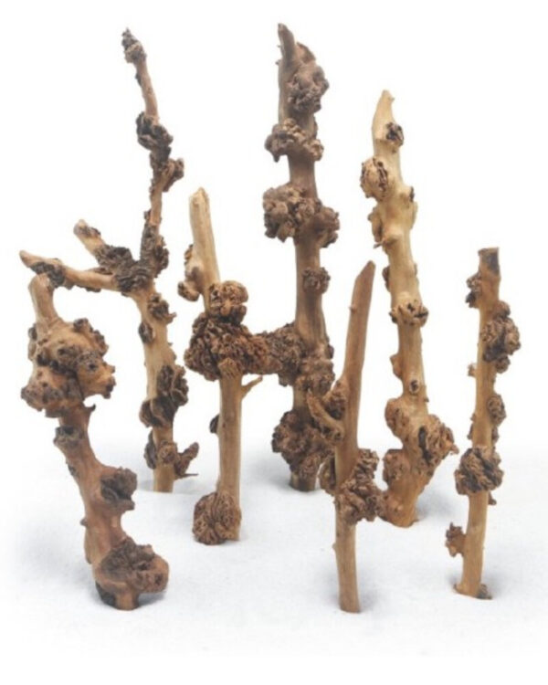 HAQUOSS SAVANA WOOD SMALL 20/30cm