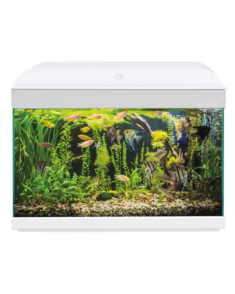 HAQUOSS EVOLUTION 50 - LUXURY- BIANCO/WHITE