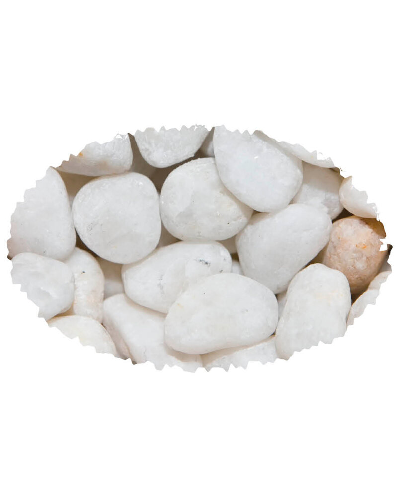 HAQUOSS ALASKA BIG 5KG