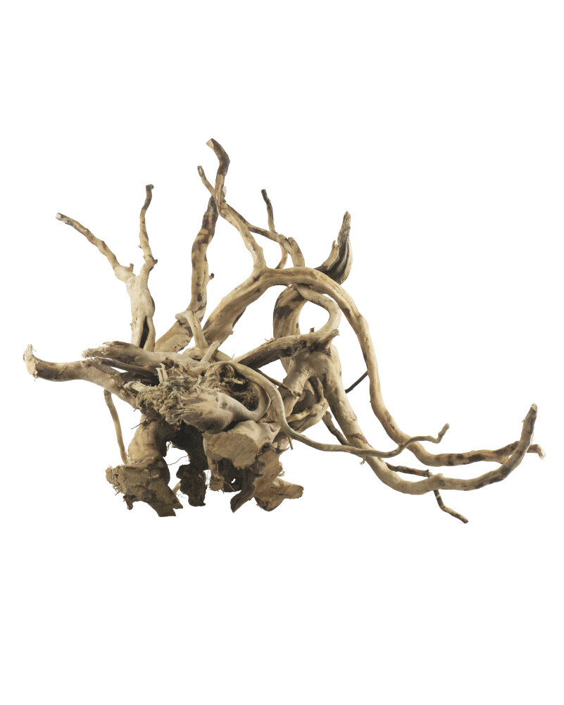 HAQUOSS AMAZONAS EXTRALARGE 60/70CM