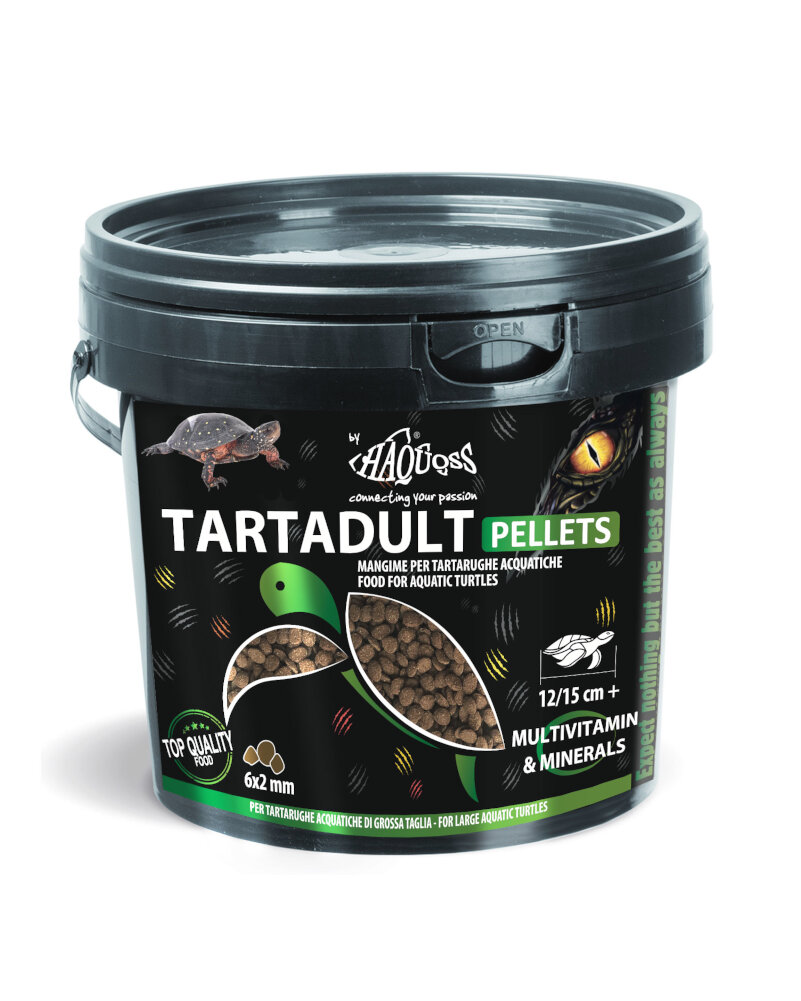 HAQUOSS TARTADULT 250ml/85gr