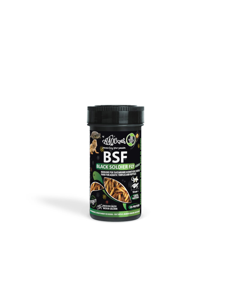HAQUOSS BLACK SOLDIER FLY LARVAE 5lt/750gr