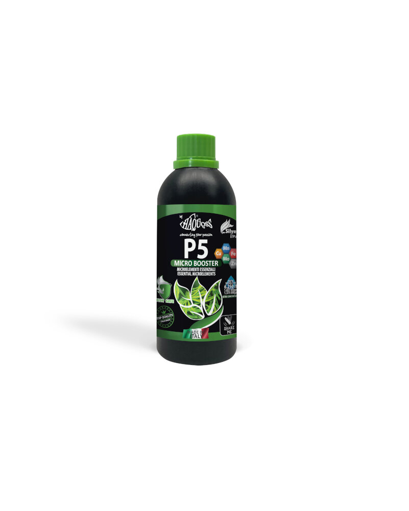 HAQUOSS P5 - MICRO BOOSTER 2,5lt