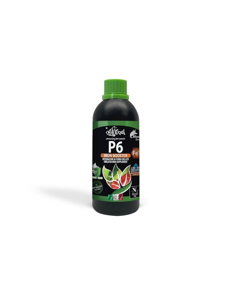 HAQUOSS P6 - IRON BOOSTER 250ml