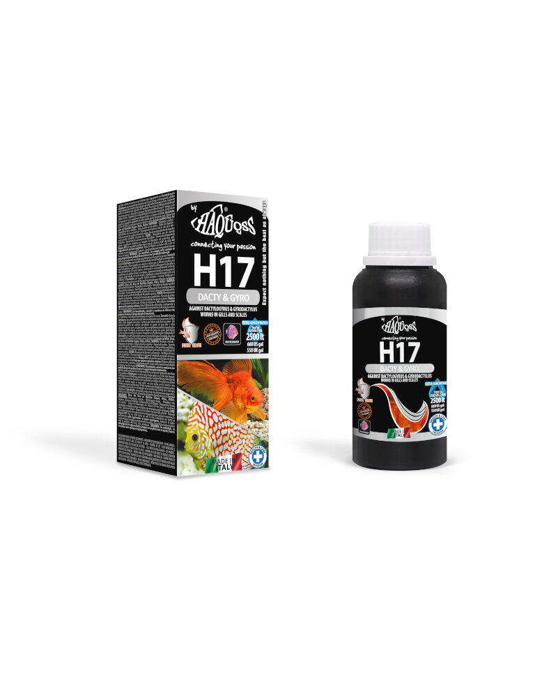 HAQUOSS H17 - DACTY & GYRO