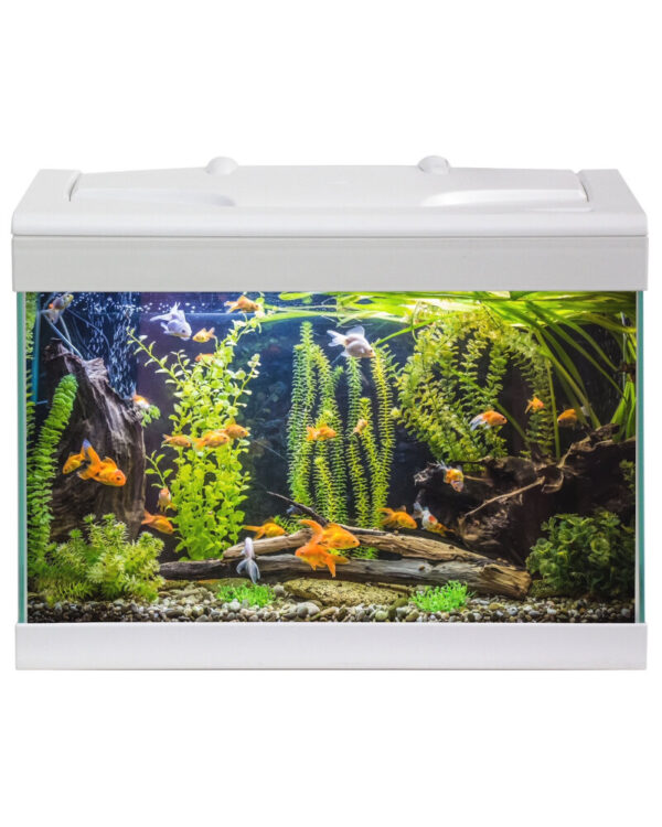 HAQUOSS EVOLUTION 40 - STARTER - BIANCO/WHITE