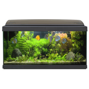 HAQUOSS EVOLUTION 80 BLACK