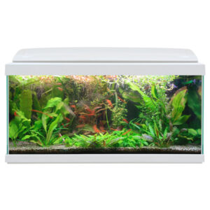 HAQUOSS EVOLUTION 80 BIANCO/WHITE