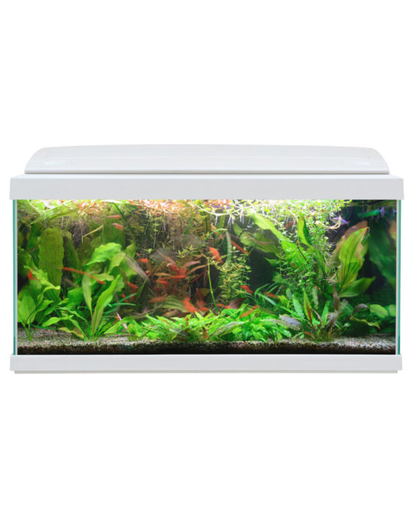 HAQUOSS EVOLUTION 80 BIANCO/WHITE