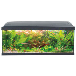 HAQUOSS EVOLUTION 100 - BLACK