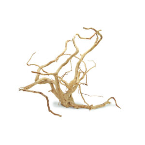 HAQUOSS AMAZONAS SUPER SMALL 15CM