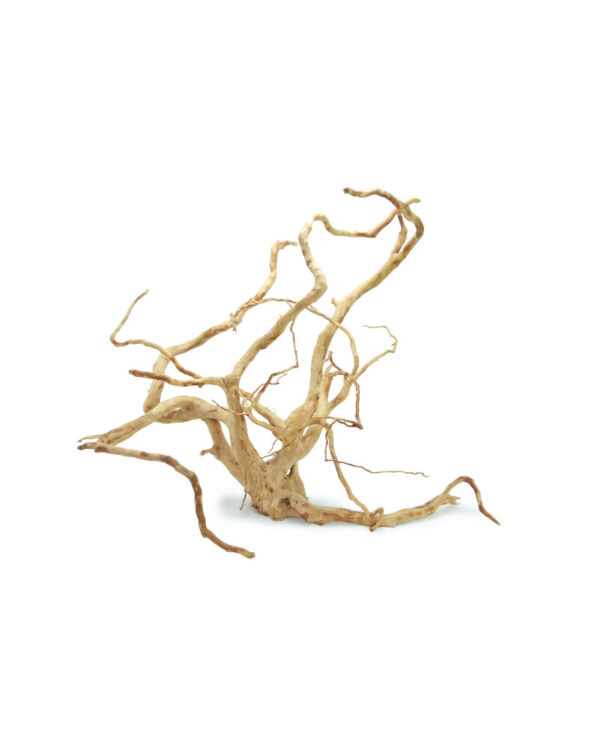 HAQUOSS AMAZONAS SUPER SMALL 15CM