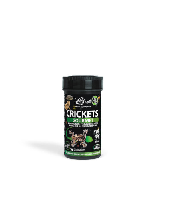 HAQUOSS CRICKETS GOURMET 250ml/40gr