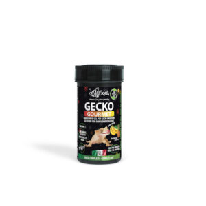 HAQUOSS GECKO GOURMET - BANANA & ANANAS 250ml/100gr