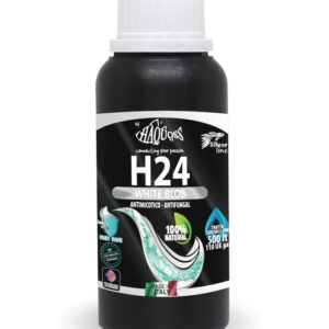 HAQUOSS H24 - WHITE BLOB 100ML