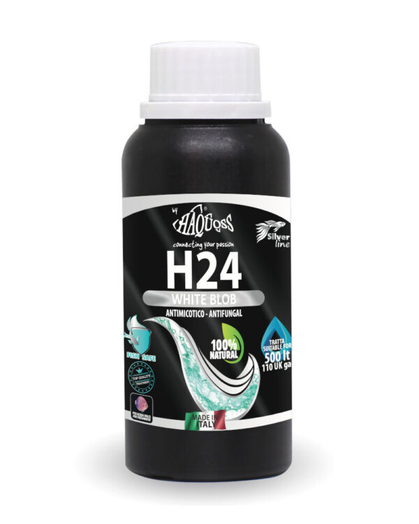 HAQUOSS H24 - WHITE BLOB 100ML
