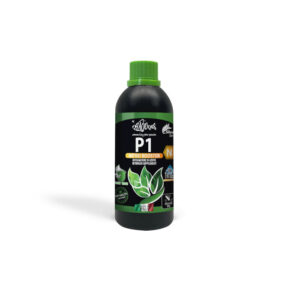 HAQUOSS P1 - NITRO BOOSTER 250ml