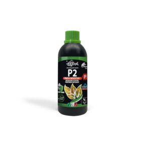 HAQUOSS P2 - PHOS BOOSTER 250ml