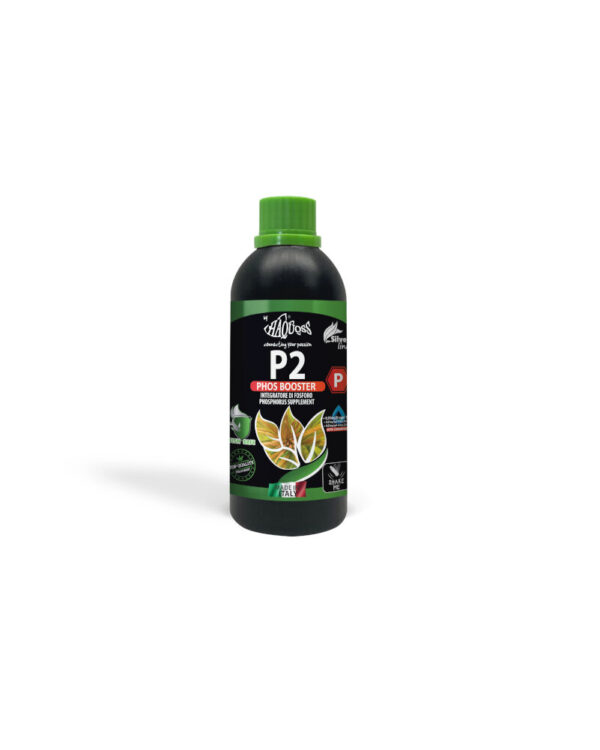 HAQUOSS P2 - PHOS BOOSTER 1000ml