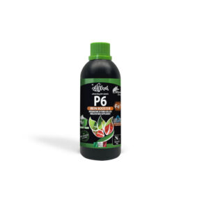 HAQUOSS P6 - IRON BOOSTER 1000ml