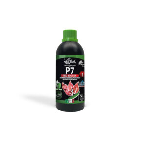 HAQUOSS P7 - RED BOOSTER 100ml