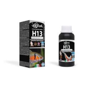 HAQUOSS H13 - MYCOSIS