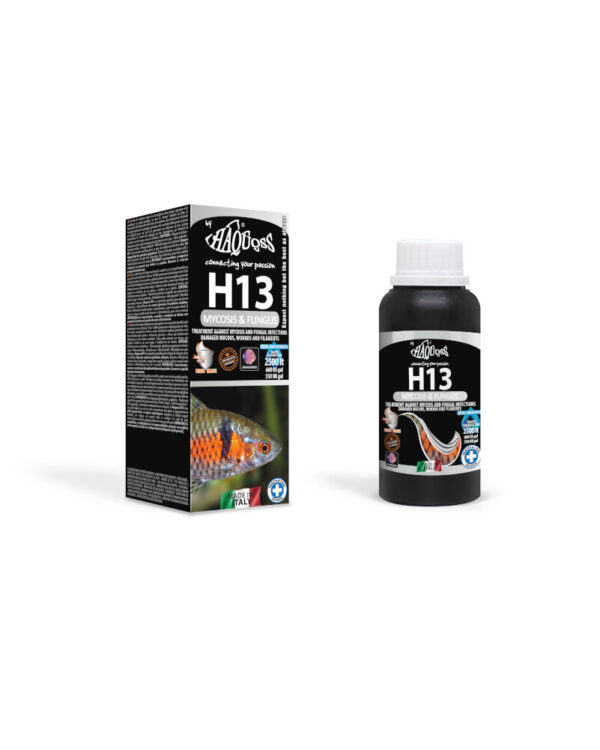 HAQUOSS H13 - MYCOSIS