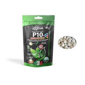 HAQUOSS P10 - ROOTS NUTRIENT - 125 TABLETS